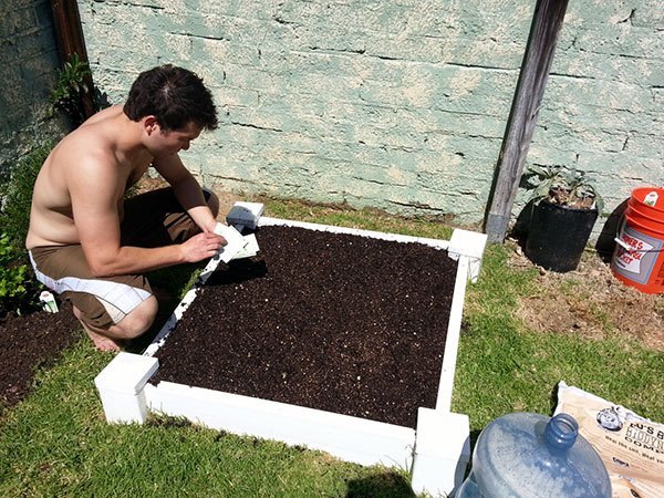 Planting and Watering Square Foot Garden