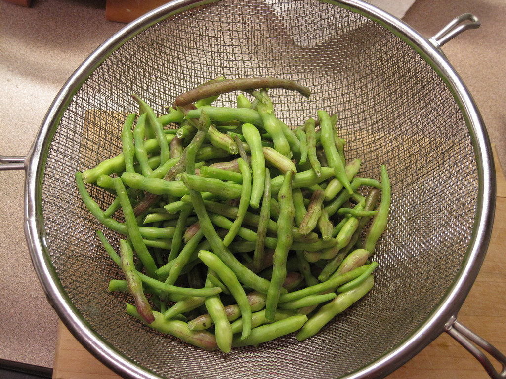 鼠尾萝卜豆荚