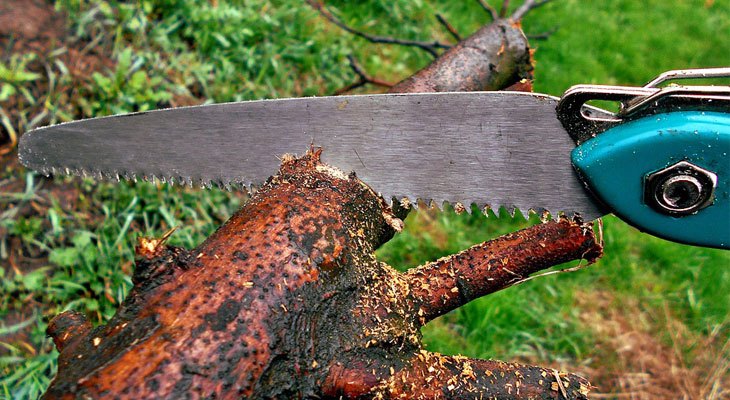 The Best Folding Pruning Saws