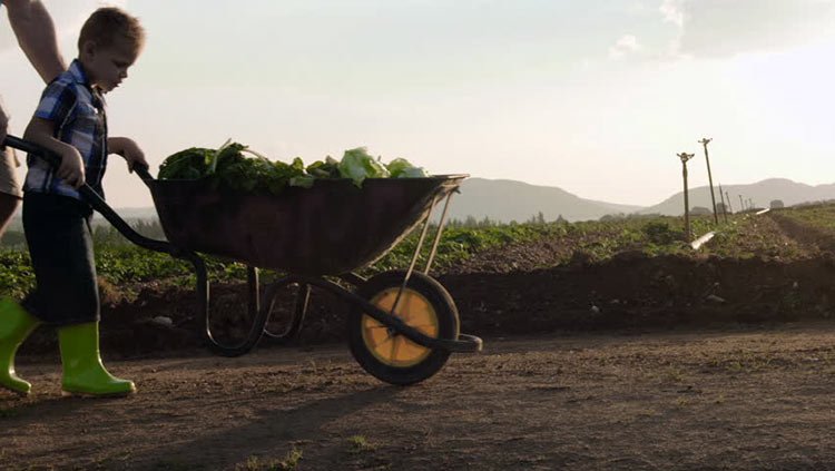If you live in a hilly area, get a wheelbarrow that's easier to use!