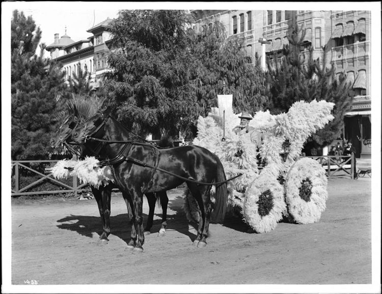 Pampas Grass-covered horse-drawn wagon in 1903 Tournament of Roses Parade.