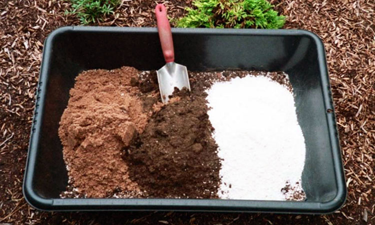 Perlite in potting mix