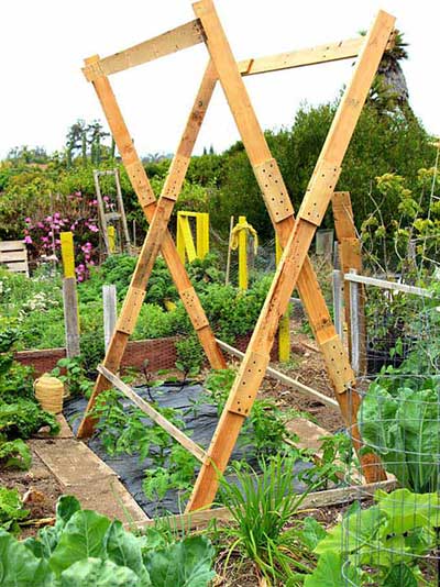 Double X Pallet Frame