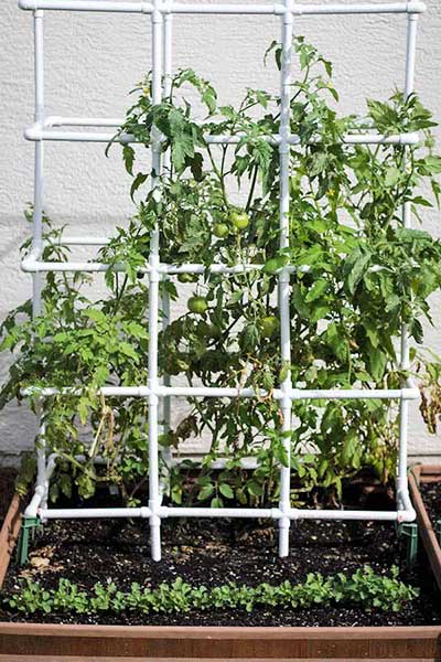 Heavy-Duty PVC Cage