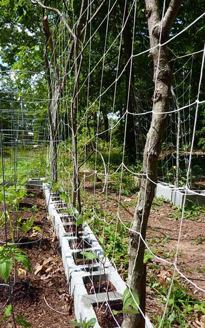 Leftover Parts Trellis