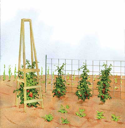 Livestock Fencing Long Trellis