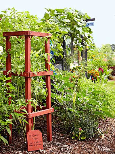 Pressure-Treated Decking Cage