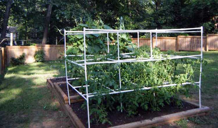 PVC Tomato Block