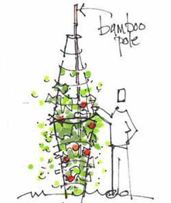 Rhett Beaver's Tomato Cage Stack