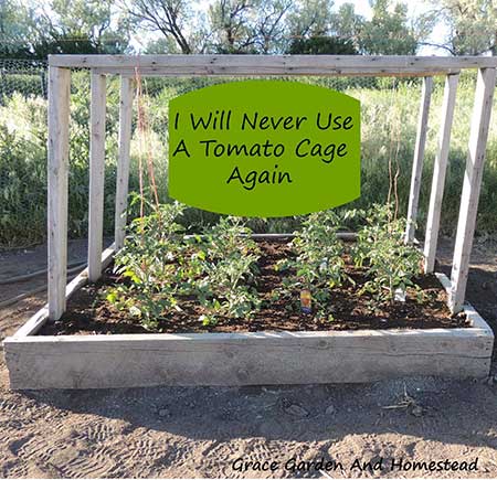 The Bailing Twine Tomato Bed