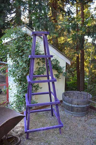 The Garden Obelisk