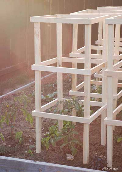 The Wooden Tomato Cage