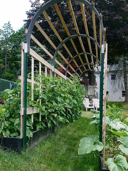 Arched Walkway Trellis