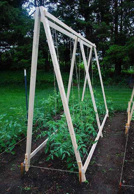 A Triad Of Trellises