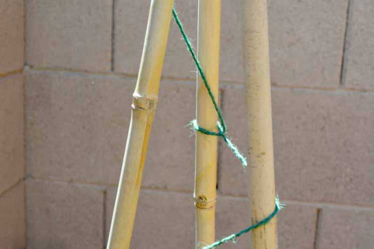 DIY Bamboo and Twine Tomato Spiral