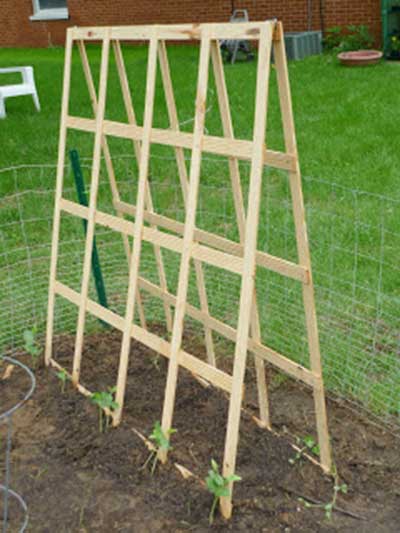 Foldaway Triangle Trellis
