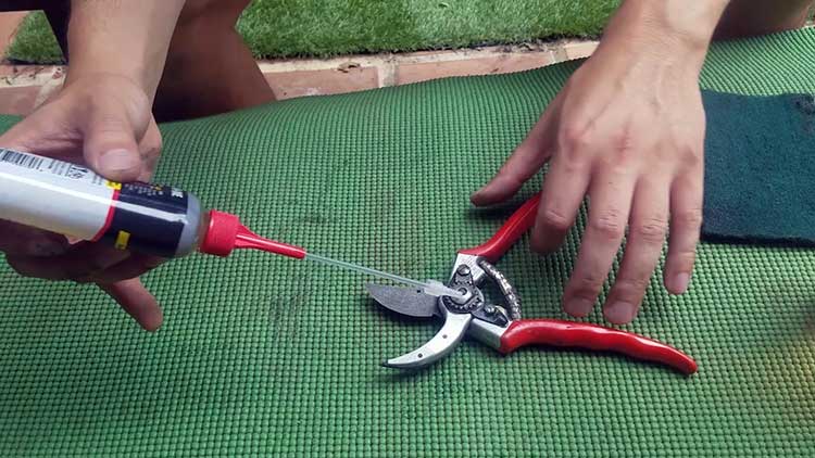 Lubricating pruners