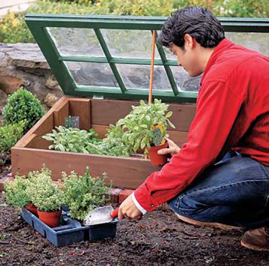 Salvaged Window Cold Frame
