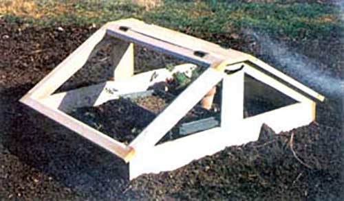 Hinged-Top Cold Frame