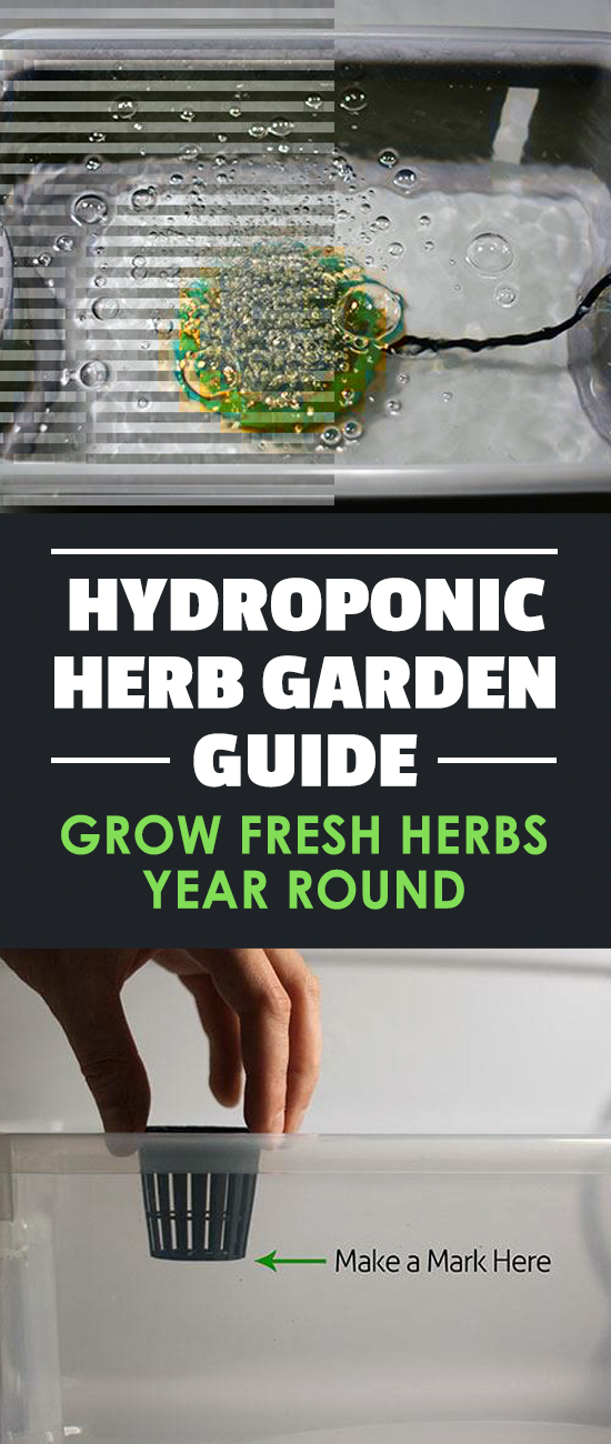 Learn how to build an indoor hydroponic herb garden. Includes a parts list and a step-by-step guide to growing fresh herbs indoors.
