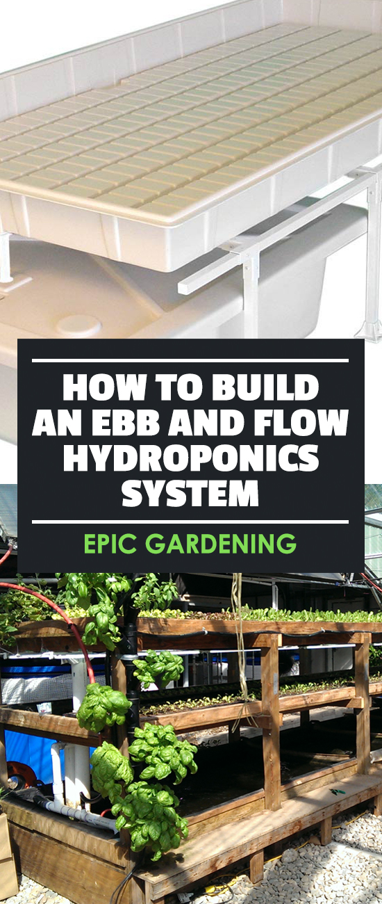 Learn how to build an ebb and flow hydroponics system, one of the simplest and cheapest ways to start growing plants in your own home.