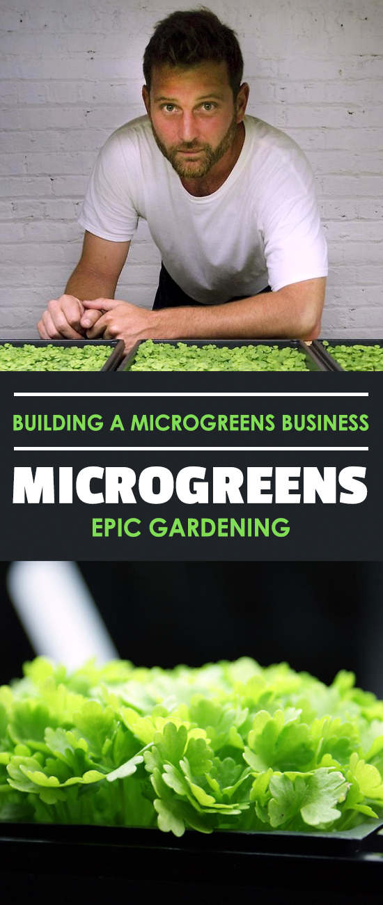 Learn how I started a microgreens business in my garage on a total whim. It's not smoke and mirrors...just solid, practical advice for starting out!