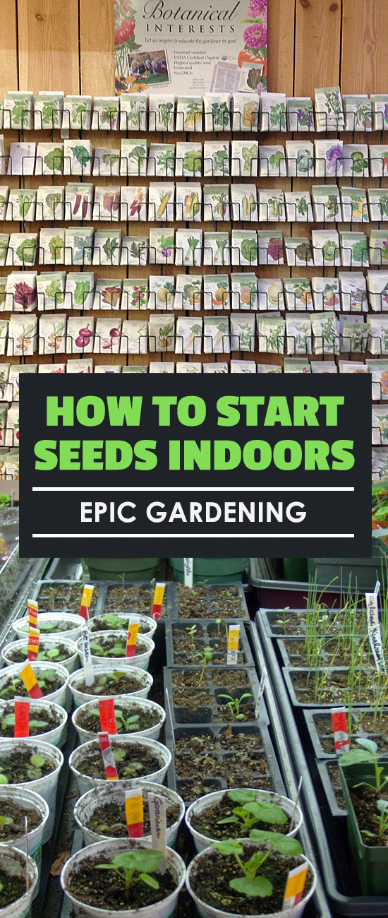 Learn how to start seeds indoors and get a head start on the growing season...or actually keep your plants indoors the entire season!