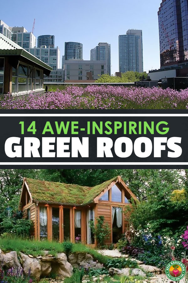 Looking to spice up your home with some natural decor? Why not a green roof? Homeowners, governments, and companies all over the world are starting to embrace the green roof movement. Here are 14 pictures to inspire you to design your own green roof project.