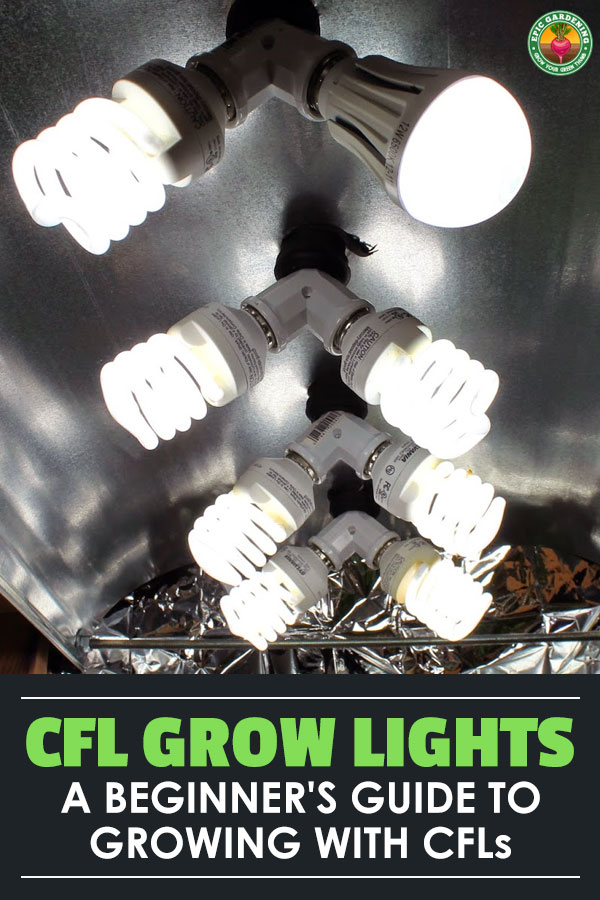 Using a CFL grow light is a great way to get started growing indoors. Learn everything you need to know about CFL grow light setup, bulbs, and fixtures.