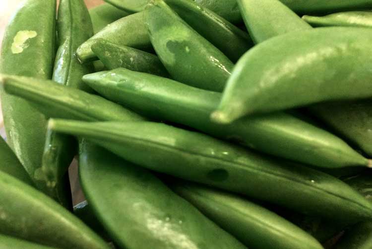 Sugar Snap Peas