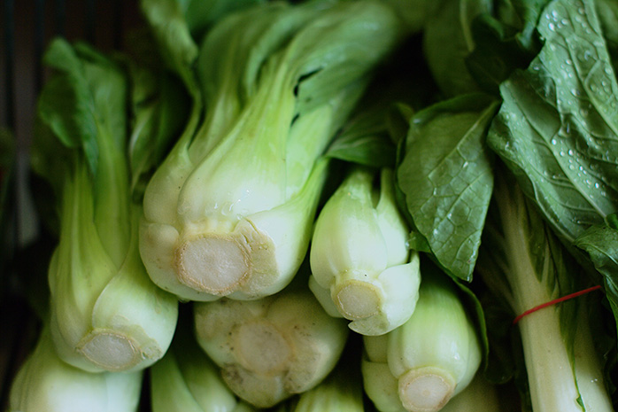 How to grow bok choy