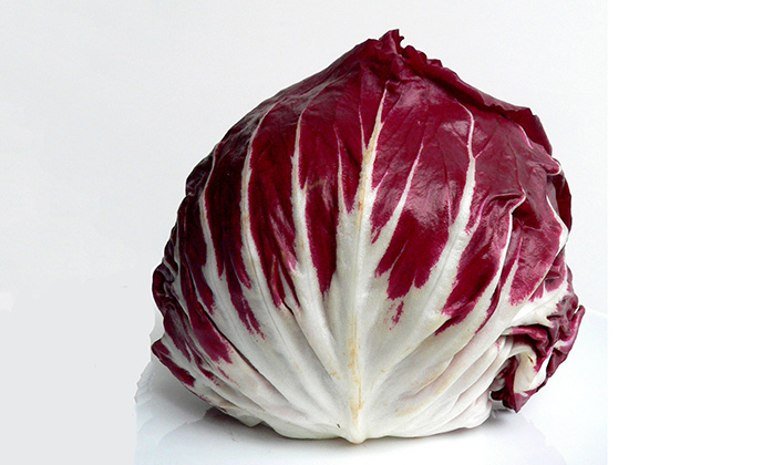 How to grow radicchio