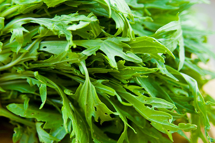 How to grow mizuna