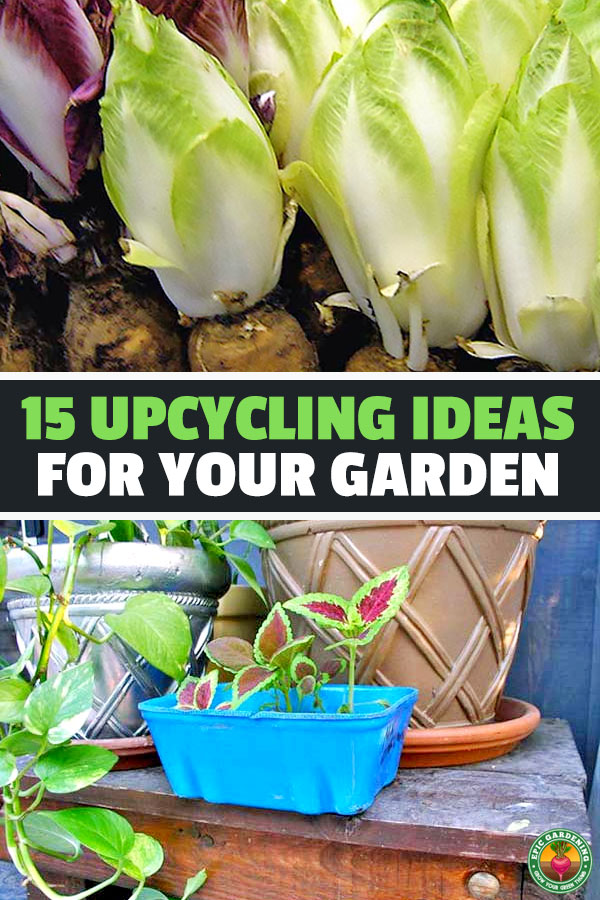 There are so many ways to use what you have lying around the house and upcycle for your garden. Learn the most popular in this article.