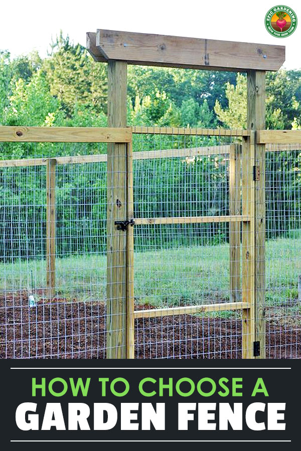 Don\'t make a stupid mistake. Learning how to choose a garden fence will help you make sure you pick a fence that\'s both functional AND beautiful for your garden.
