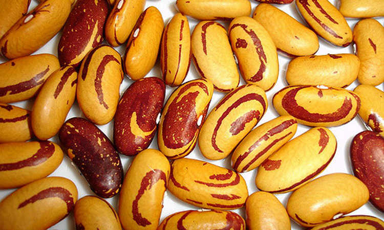 Ojo de Tigre beans