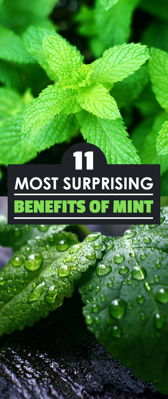 11 Most Surprising Benefits of Mint