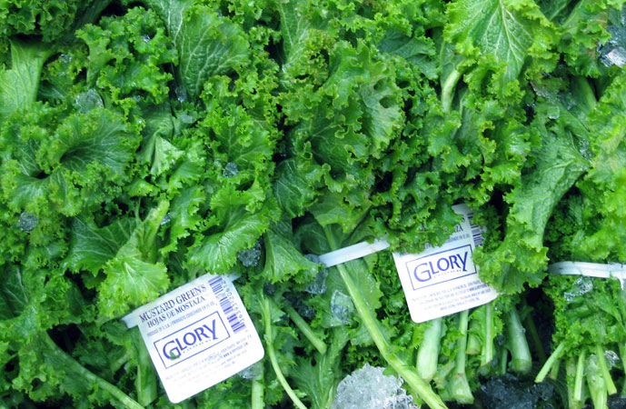 Fall Mustard Greens
