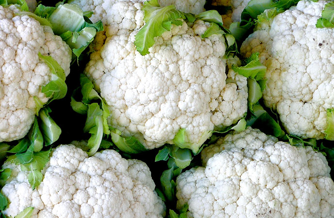 Fall Cauliflower