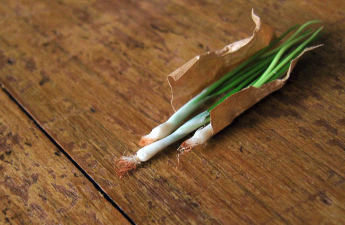 Fall Scallions
