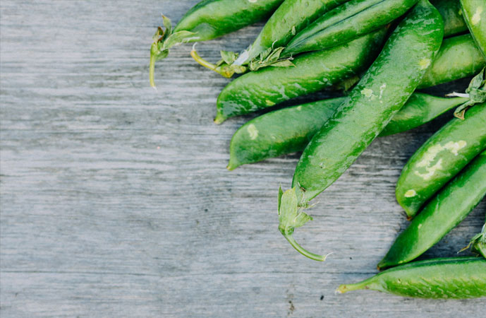 Fall Peas