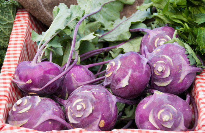 Fall Kohlrabi