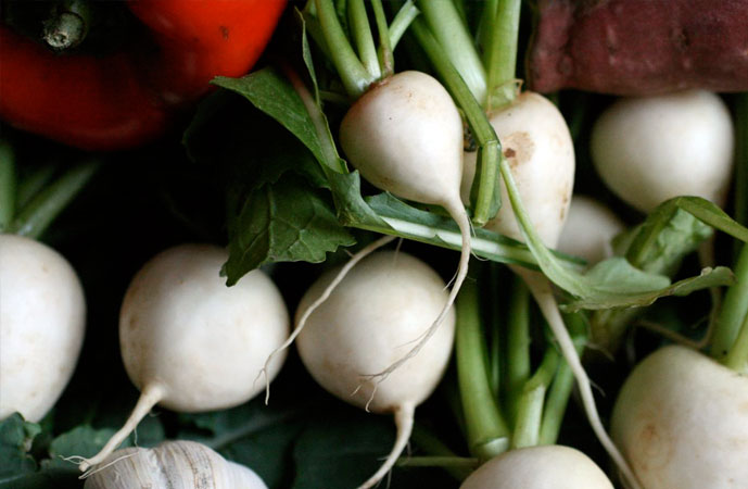Fall Turnips