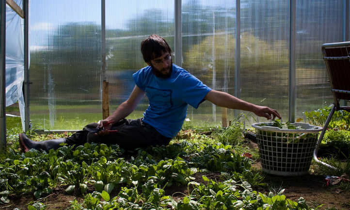 Gardening and chronic illness