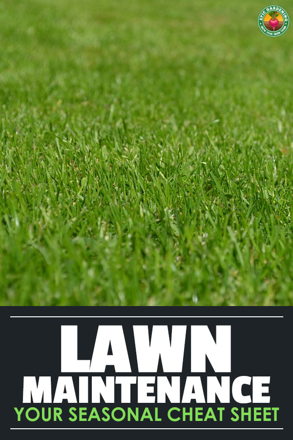 Lawn maintenance doesn\'t just happen in spring and summer — it\'s a year-round process. Here\'s a cheat-sheet for what to do in every season of the year.