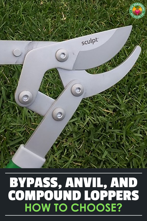 The best loppers for you will depend on your particular needs in the garden. In this guide we\'ll look at everything you need to know to make a good choice.