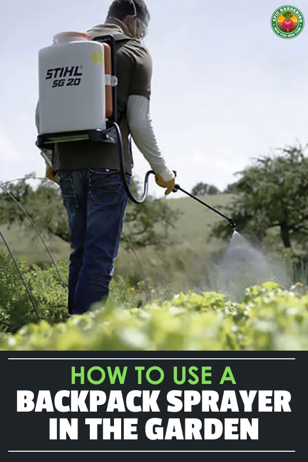 Backpack sprayers are a necessary evil when battling pests, diseases, or fertilizing in the yard or garden. The best backpack sprayers blend features and price.