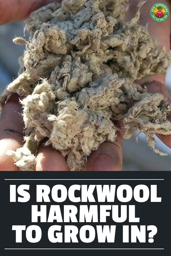 A question that I get all the time is,