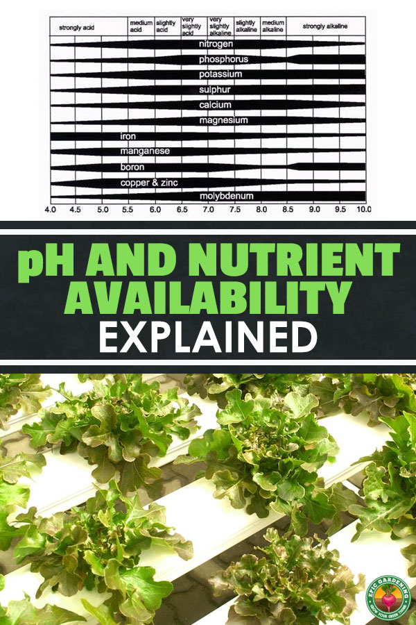 Avoid nutrient lockout by reading this guide on pH and nutrient availability for hydroponics. Learn to grow food fast and cheap at home!