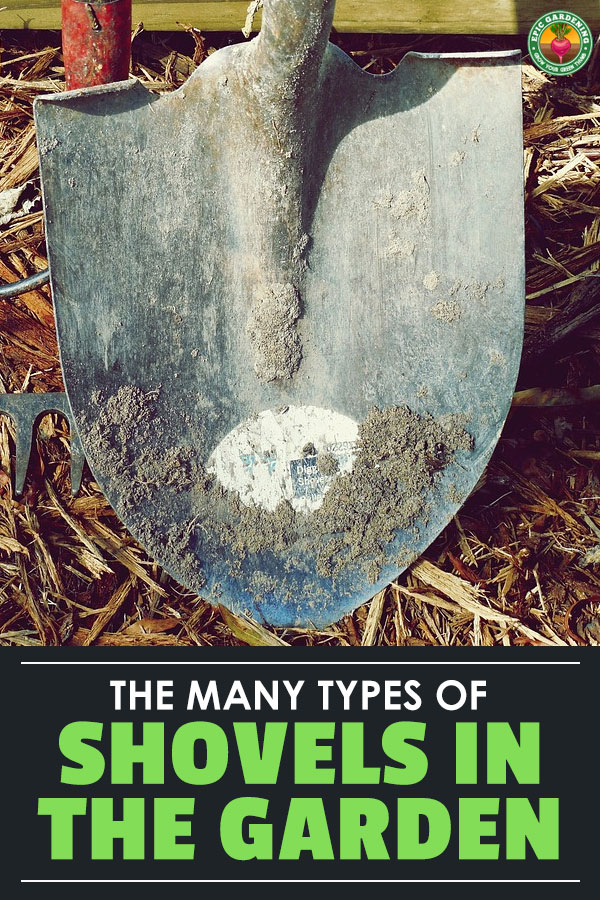 The best shovel for you will depend on your needs. Do you need to dig a trench, a hole, edge a lawn...the list goes on. Check out our shovel buyer's guide.